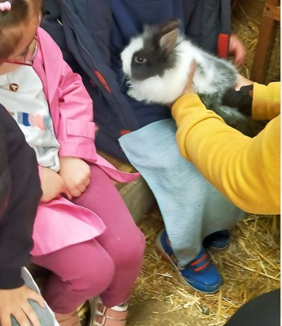 Sortie scolaire de la petite section